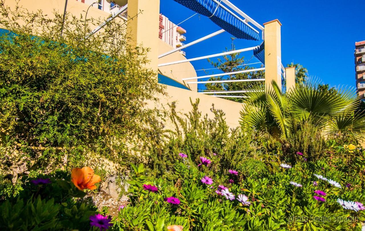 36 Jupiter Apartamento - Vista Al Jardin Y La Piscina - Excelente Wifi ベナルマデナ エクステリア 写真